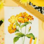 Creative therapies that nurture mind, body and spirit